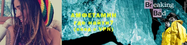 индика Зеленокумск