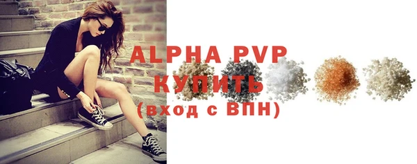 индика Зеленокумск
