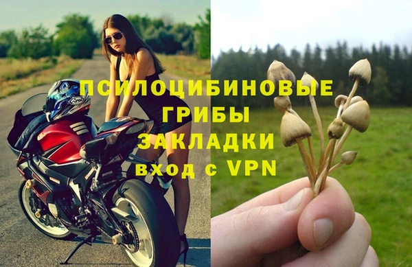 индика Зеленокумск
