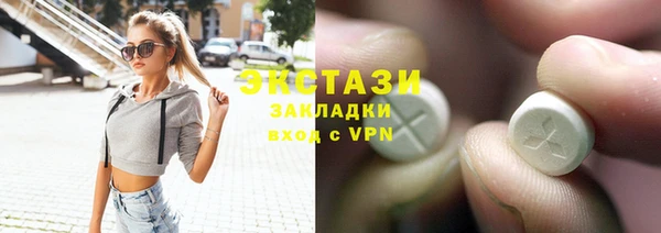 стаф Инта