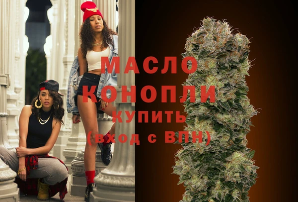 индика Зеленокумск