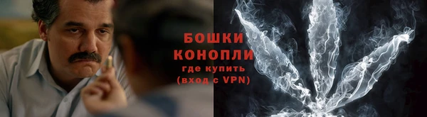 индика Зеленокумск