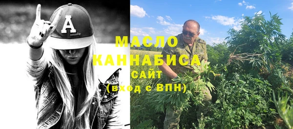 индика Зеленокумск