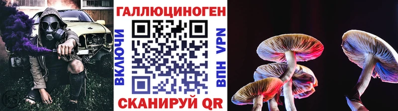 Купить  Олонец  Галлюциногенные грибы ЛСД 