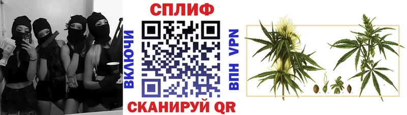 МАРИХУАНА Amnesia Купить закладки Олонец